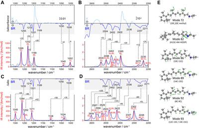 Retinal Vibrations in Bacteriorhodopsin are Mechanically Harmonic but Electrically Anharmonic: Evidence From Overtone and Combination Bands